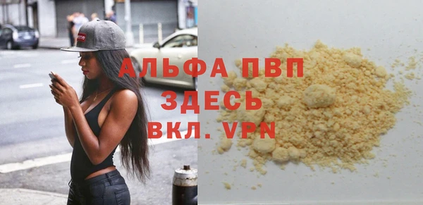 прущие крисы Ельня