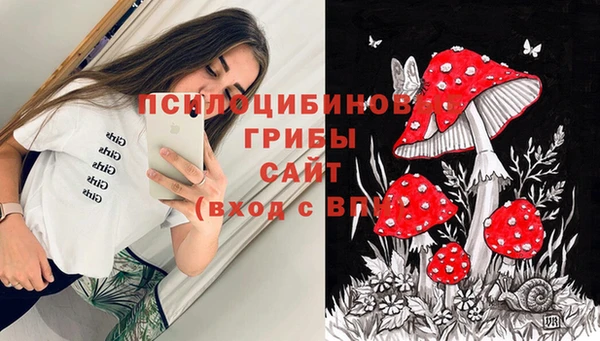 соль курить ск Елабуга