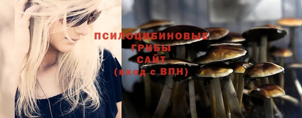 прущие крисы Ельня