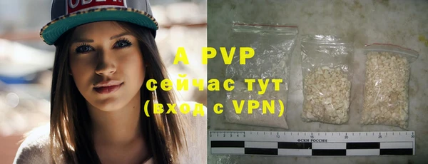 прущие крисы Ельня