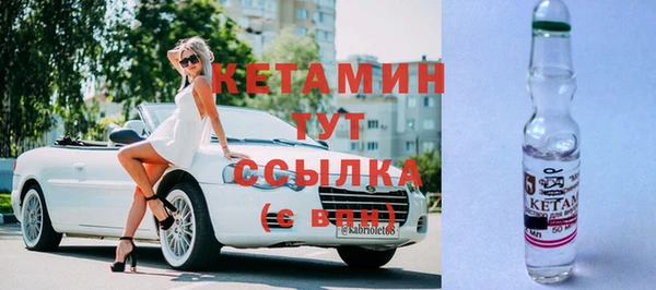 прущие крисы Ельня